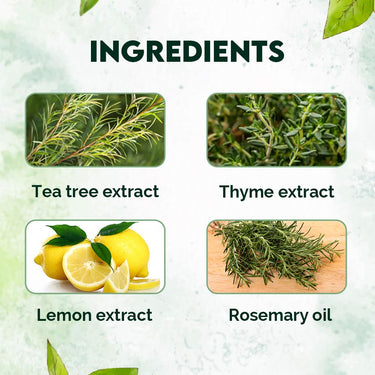 Jovees Herbal Thyme & Tea Tree Anti Dandruff Shampoo | With Tea Tree, Thyme & Lemon Extract | For All Hair Type | Prevents Dandruff & Dry Scalp- 300ml